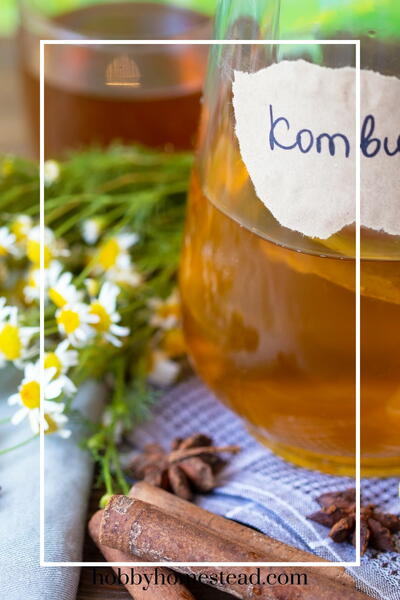 Fall-inspired Apple Cinnamon Kombucha Recipe