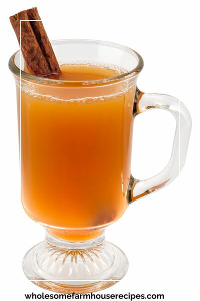 Apple Cinnamon Kombucha Recipe