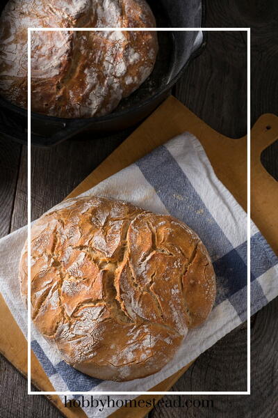 Easy Artisan Sourdough Bread (no-knead) 
