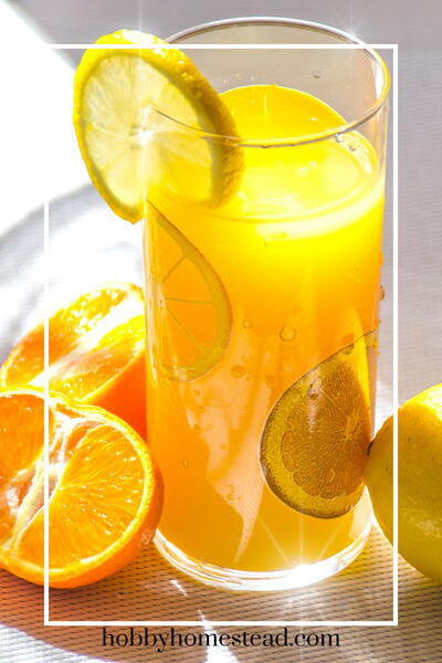 Homemade Orange Lemonade Fresh Squeezed Recipe
