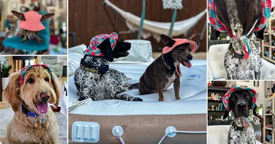 Dog Bucket Hat