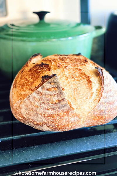 Easy No-knead Artisan Sourdough Bread At Home