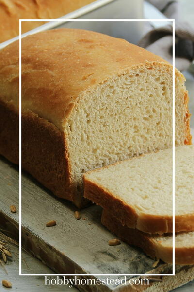 Classic Sourdough Sandwich Bread Recipe: Easy And Soft