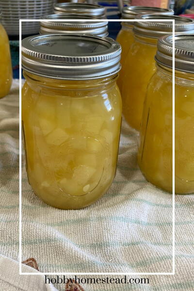 Delicious Mock Zucchini Pineapple Canning Recipe