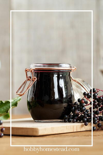 Easy Homemade Elderberry Syrup Recipe: Seasonal Wellness