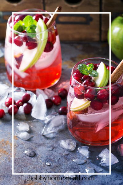 Winter Cranberry Apple Ginger Refresher: A Cozy Homemade Drink
