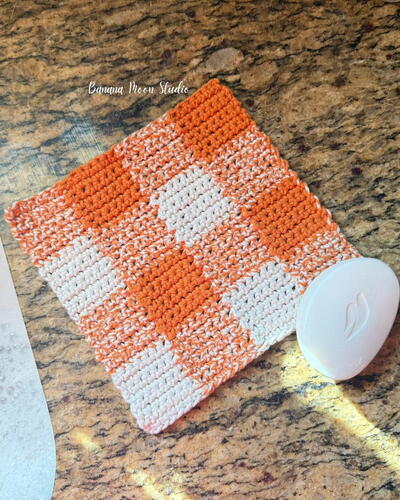 Fall Gingham Dishcloth