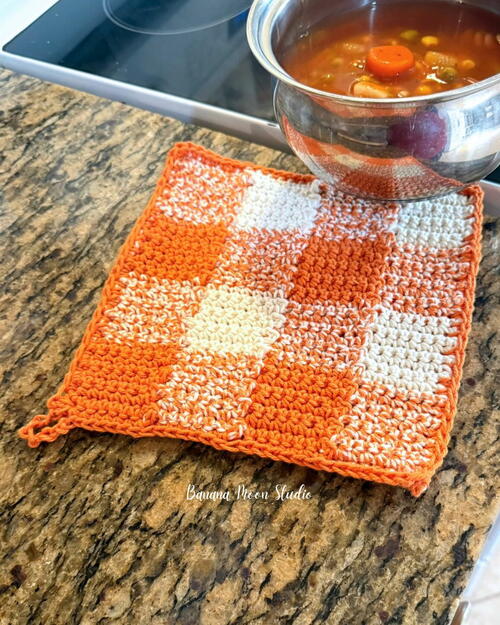 Fall Gingham Hot Pad