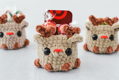 Reindeer Gift Buddy