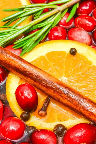 Christmas Simmering Pot