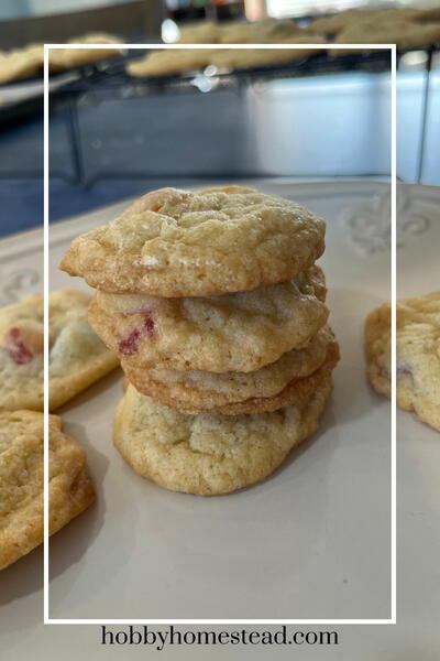 Classic Fruit Flavored Gumdrop Cookies Recipe 