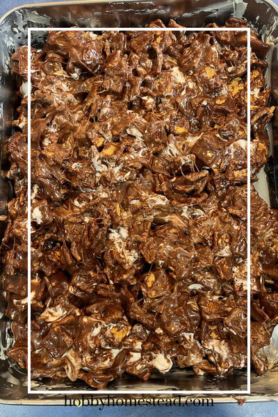 No-bake S’mores Cereal Bars Recipe: Gooey Goodness