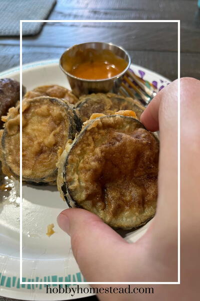 Crispy Deep Fried Eggplant