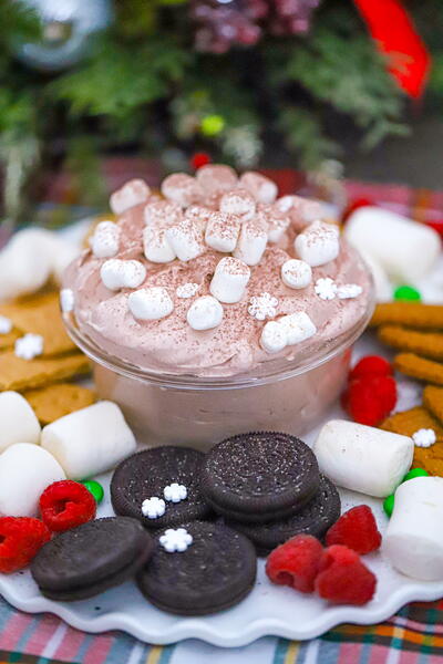 Light & Fluffy Hot Cocoa Dip