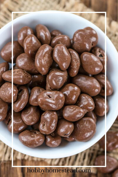 Easy Homemade Chocolate Covered Raisins Recipe