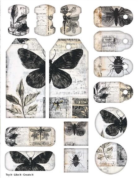 Specimen Paper Crafting Printable