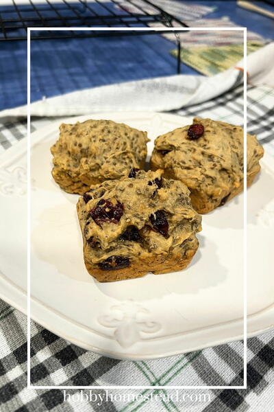 Cranberry Chia Seed Muffins With Tender Bakery Crumb