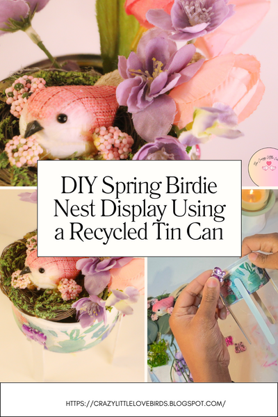Diy Spring Birdie Nest Display Using A Recycled Tin Can