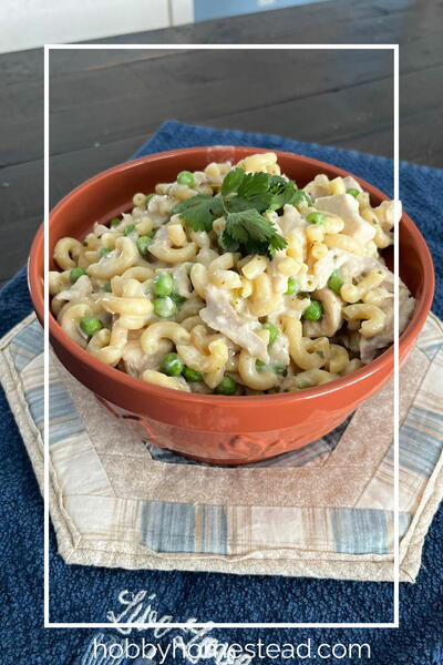 Creamy Parmesan Chicken Pasta – Ready In One Pot