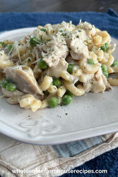 One Pot Creamy Parmesan Chicken Pasta