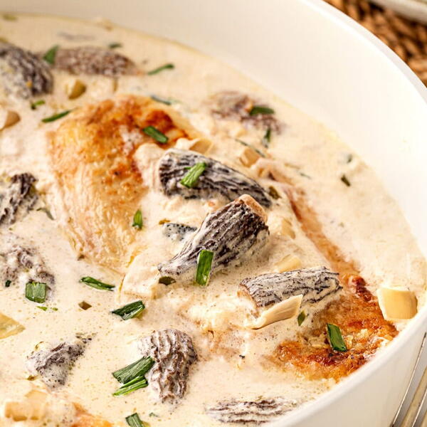 Creamy Chicken With Morels