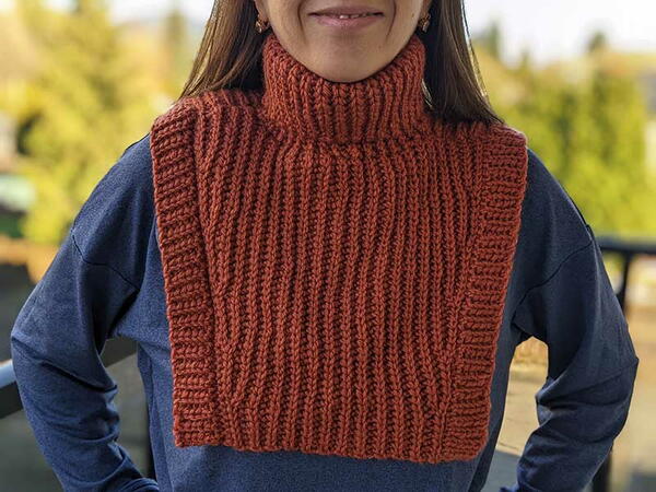 Warm Turtleneck Dickey