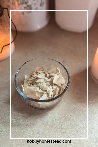 How To Dry Sourdough Starter 