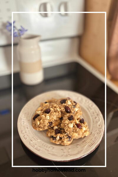 Cranberry White Chocolate Oatmeal Cookies