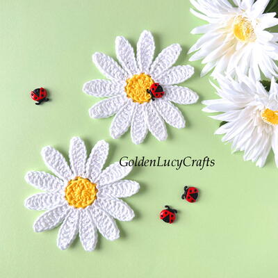 Daisy Applique