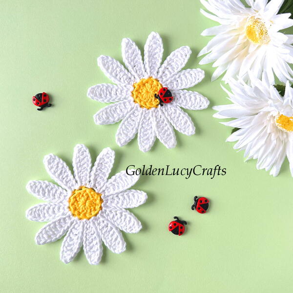 Daisy Applique