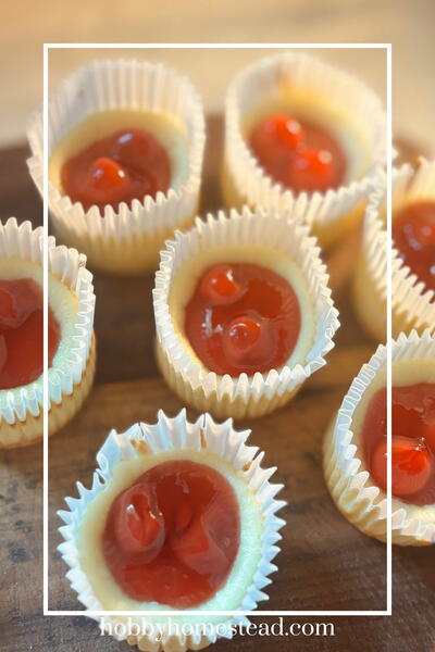 Mini Cheesecake Cups With Homemade Cherry Topping