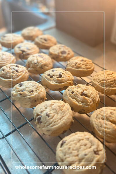 Bakery-style Chocolate Chip Peanut Butter Cookies