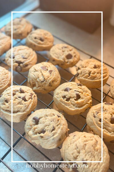 Classic And Simple Chocolate Chip Peanut Butter Cookies