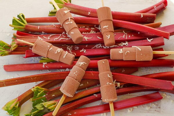 Chocolate Rhubarb Popsicles