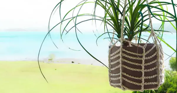 Crochet Plant Hanger – Free Easy Pattern