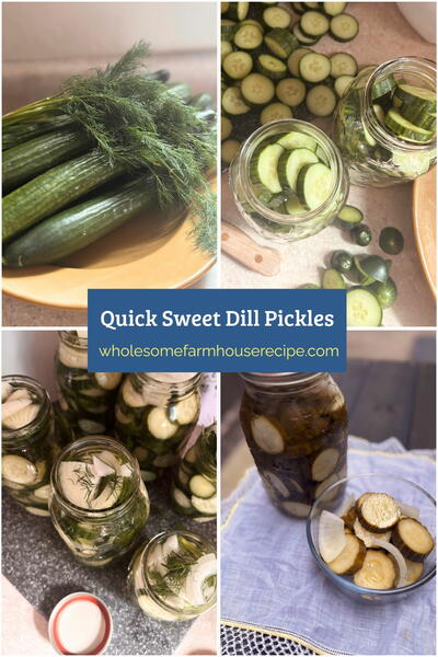 24-hour Sweet Dill Refrigerator Pickles Recipe