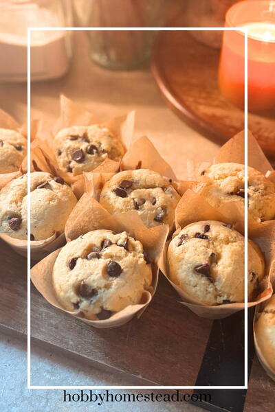 Bakery Style Jumbo Chocolate Chip Muffins