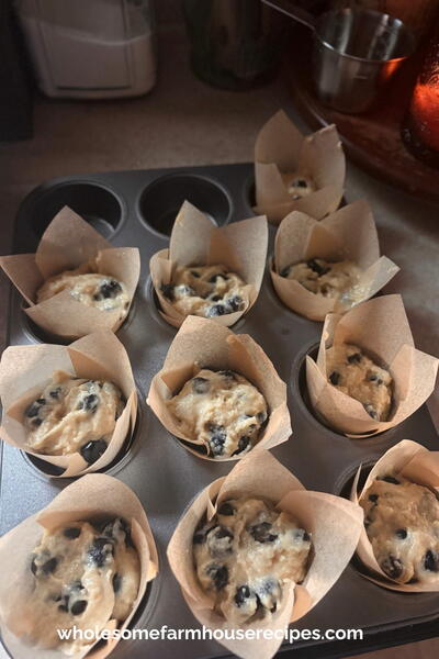 Easy Blueberry Muffins With Streusel Crumble Topping