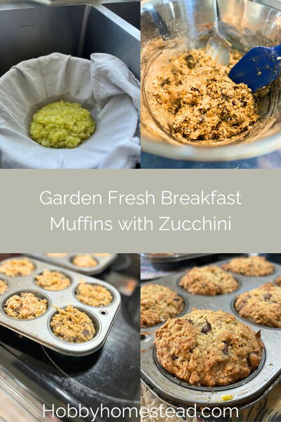 Easy Chocolate Chip Zucchini Muffins Recipe