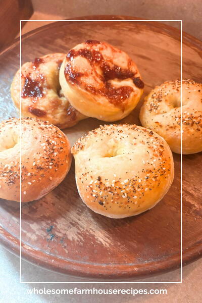 Easy Cottage Cheese Protein Bagels (no Yeast Recipe)