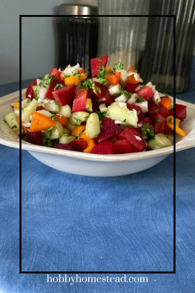 Fresh Plum Salsa With Lime And Cilantro