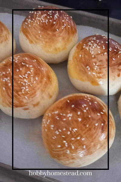 Hamburger Buns Under An Hour