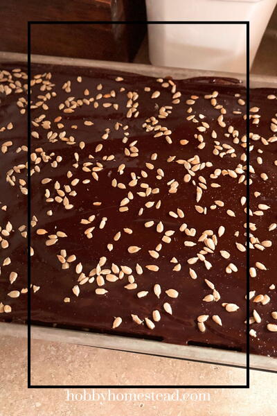Cosmic Brownies That Nail The Fudgy-chewy Balance