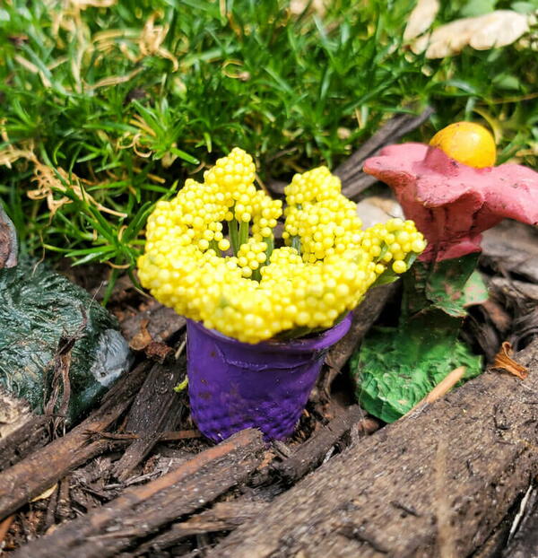 Fairy Garden Flower Pots Easy Diy