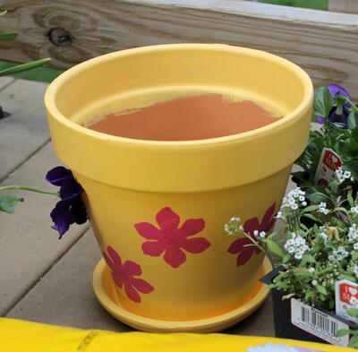 How To Plant Beautiful & Full Flower Pots & Diy Painted Flower Pot