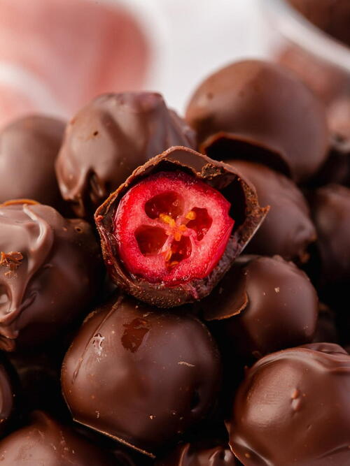 Chocolate Covered Cranberries 