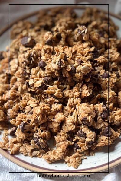 Peanut Butter Chocolate Chip Granola Recipe