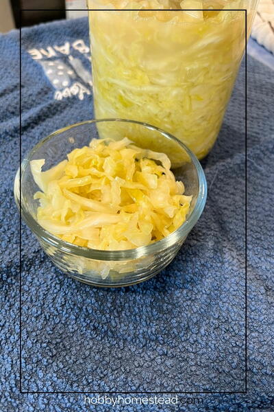 Homemade Sauerkraut: A Simple Way To Preserve Cabbage