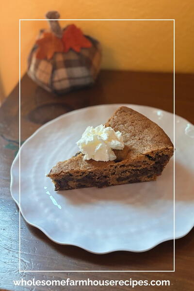 Sourdough Discard Chocolate Chip Skillet Cookie