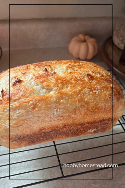 Mal’s Cold Ferment Sourdough Sandwich Bread